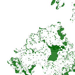 Ecology and wildlife preview